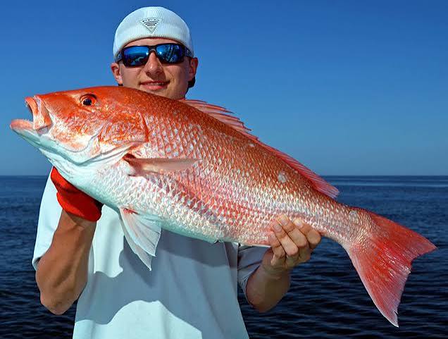 Louisiana Sportsman