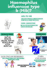 Ingat, influencer adalah cerminan dari seseorang yang dianggap memiliki potensi mempengaruhi orang lain. Pendidikan Kesihatan On Twitter Ni Lagi 1 Penyakit Cegahan Vaksin Haemophilus Influenzae Type B Hib