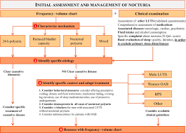 Image result for Nocturia