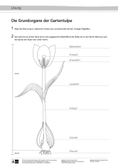 Blankeschule erbaut, entstand 1982 die grundschule blanke. Ernst Klett Verlag Lehrwerk Online Schulbucher Lehrmaterialien Und Lernmaterialien
