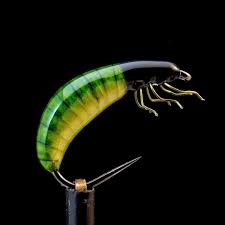 no photo description available