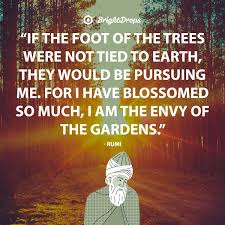 Happy b'day larki stay blessed. 411 Rumi Quotes To Celebrate Life And Bring Contentment Etandoz