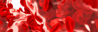 Sickle cell disease is the most common inherited blood disorder in the united states. Can Gene Therapy Help Treat Sickle Cell Disease Asgct American Society Of Gene Cell Therapy