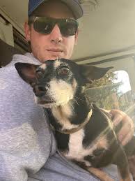 Lost Dog Found in Lewiston Near Youngstown Area