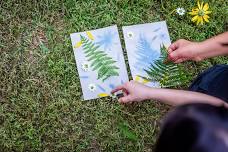 Sketch the Wild: An Introduction to Nature Journaling