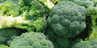 The history of broccoli: from the Etruscans till today - La Cucina Italiana