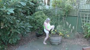 Perra mea en lemon tree