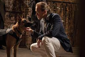 If the producers are looking for. Watch John Wick Chapter 3 Parabellum Prime Video