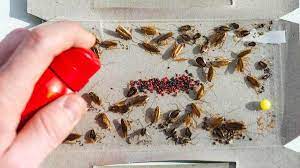 We are getting compensated for referring readers and business to these companies. The Best Roach Killer Chicago Tribune