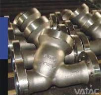 Cast Steel RF Flanged Y Type Strainer