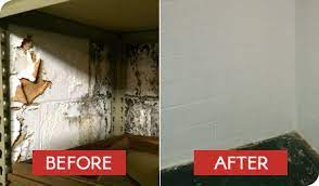 How to remove mold in the basement. Attics Basements 1 Best Rated Mold Remediation Services Akron Mold Remediation Oshkosh Wi