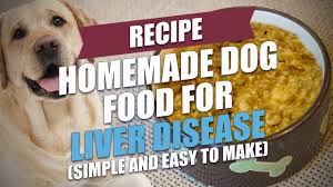 Unfortunately, we can probably say the same for dogs. Homemade Dog Food For Liver Disease Recipe Easy To Make Youtube