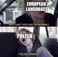 Welcome to the polish memes instagram page ! Damn It Poland Album On Imgur