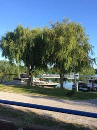 Relais Du Port Jaux Menu Prix Restaurant Avis Tripadvisor