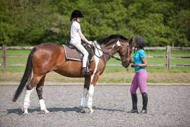 Riding Lessons For Young Girls And Boys