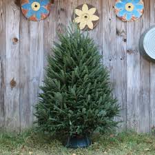 We did not find results for: National Plant Network 5 Ft Freshly Cut Fraser Fir Real Christmas Tree Hd9064 The Home Depot