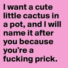 Pretty fly for a cacti, cute succulent pot, funny cactus pot, plant pun, funny planter, cute gift idea, indoor outdoor home garden decor. I Want A Cute Little Cactus In A Pot And I Will Name It After You Because You Re A Fucking Prick Post By Dragonpongo212 On Boldomatic
