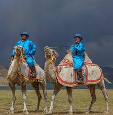 نتیجه جستجوی لغت [nomadic] در گوگل