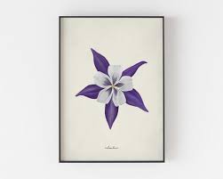 Download colorado state flower images and photos. Columbine Art Colorado State Flower Art Wildflower Art Etsy