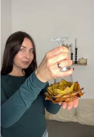 Image result for Autumn Rose 1958 Kelvinator