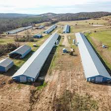 Modern automated designs for layer house. China Reliable Supplier House Of A Chicken China Best Supplier Steel Frame Layer Egg Chicken Cage Poultry Farm Construction House Design For Sale In Kenya Vanhe Factory And Suppliers