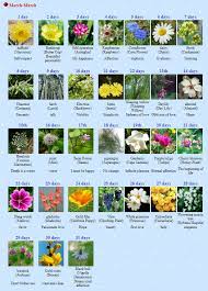 Run Bts 2020 On Twitter In 2020 Birth Flowers Flower Meanings Daffodils