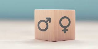 We did not find results for: L Index Egalite Femmes Hommes Unidis