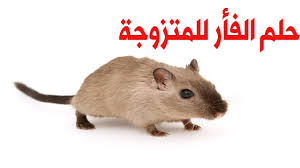 انتهينا من موضوع اليوم وقد قمنا بتفسير حلم شخص تحبه يمسك يدك في المنام، إذا أعجبك موضوع اليوم نرجو منك أن يتم مشاركة الموضوع من خلال مواقع التواصل الاجتماعي الخاصة بك، ونقوم بالترحيب. ØªÙˆØ¸ÙŠÙ Ø£Ø¬ÙˆÙ Ø­Ø§Ø³Ø© Ø§Ù„Ù„Ù…Ø³ ØªÙØ³ÙŠØ± Ø§Ù„Ø­Ù„Ù… Ø¨Ø§Ù„ÙØ£Ø± Guillotinpoilvet Com