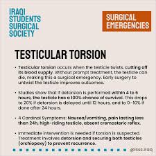 Image result for Cremasteric Reflex