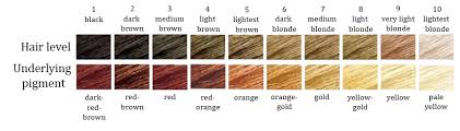 How I Got My Hair Colour Bleaching Lightening Dark Brown