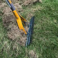 How to dethatch a lawn with rake. How To Dethatch Your Lawn