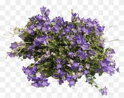 We did not find results for: Fiori Png Images Pngwing