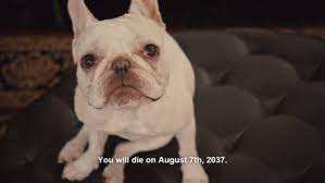 Petunia and the last supper john mulaney. Nerd Calendar August 7 2037 John Mulaney Dies