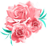 1920x1080 awesome hd rose image. Pink Roses Gifs Tenor