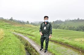 Gairahkan Agrowisata Jatiluwih Mentan Syl Dorong Mina Padi Republika Online
