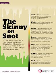 This is one of the most (if not the most) important points to remember. The Skinny On Snot University Of Utah Health