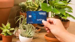 See how your rewards could add up today! American Express Introduces New Cashback Credit Card To Appeal To Millennials Marketwatch