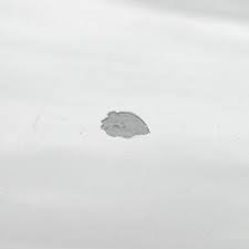 Full credit goes out to larry @driveclean @ammonycprevent rust, peeling, and other issues. Car Paint Repair How To Fix Paint Chips On Your Vehicle