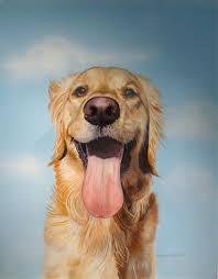 Let them learn and have fun. Sarah Sartain Joseph Gierek Fine Art Tulsa Oklahoma Original Animal Art Canine Art Golden Retriever Art