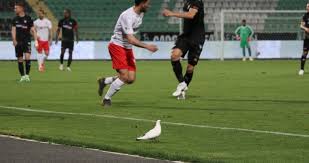 Last game played with besiktas, which ended with result: P55evmva6n Xhm
