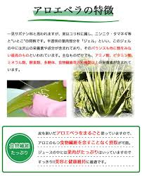 楽天市場 アロエベラジュース ゲル入り1l ペットボトルタイプ 沖縄県産 アロエベラ 葉肉使用 アロエジュース アロエドリンク 国産 アロエ アロエベラエキス 腸活 腸内環境 便秘 便通 美肌 スーパーフード 国内製造 沖縄アロエ