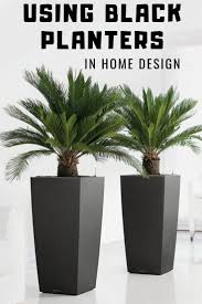 Maybe you would like to learn more about one of these? Using Black Planters In Home Design Gardening Know How S Blog