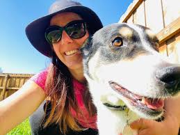 Doggie Stays & Getaways