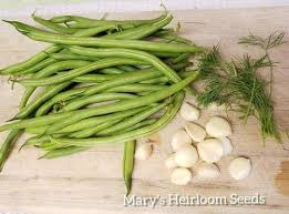I don't know if it was my mindset going in, but it just felt tropical in its. the jade bean. Jade Bush Beans Dilly Beans Bean Recipes Dilly Beans Recipe