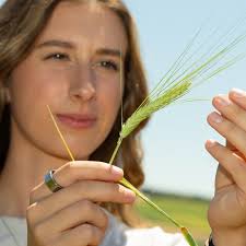 An interdisciplinary team is helping NASA gather radiation data for a  SpaceX launch this August! Using the CubeSat platform, a miniature  satellite that has revolutionized the way we think about space launch,