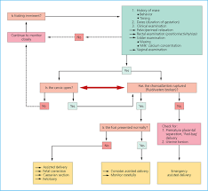 Parturition Veterian Key