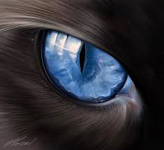 Good news!!.you can now get my drawing course for 90% off in flash sale for march 2021.here's the link: Close Up Cat Eye Drawing On My Ipad Toptalent