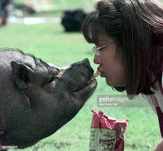 32 Kari Luna Stock Photos, High-Res Pictures, and Images