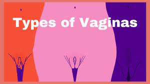 Types of Vaginas, shapes and sizes, Normal or abnormal? - YouTube