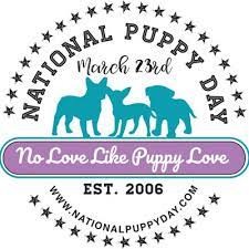 The 2021 puppy bowl , aka puppy bowl xvii , will air on animal planet starting 2 p.m. National Puppy Day Natl Puppyday Twitter